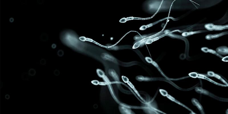 Infertility Treatment in Dubai
